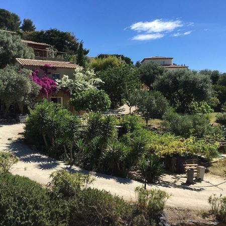 Les Terrasses Sur Mer Ollioules Exterior photo