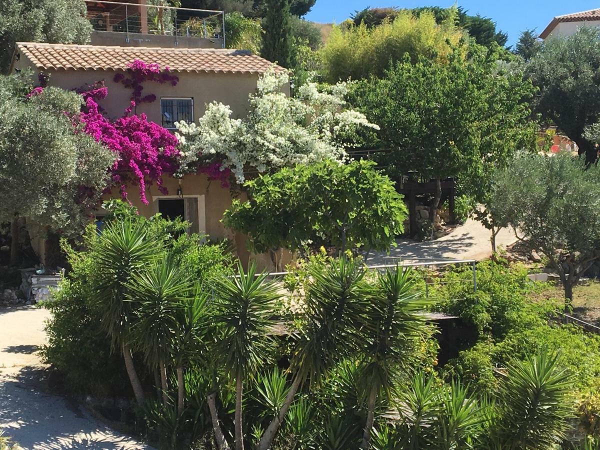Les Terrasses Sur Mer Ollioules Exterior photo