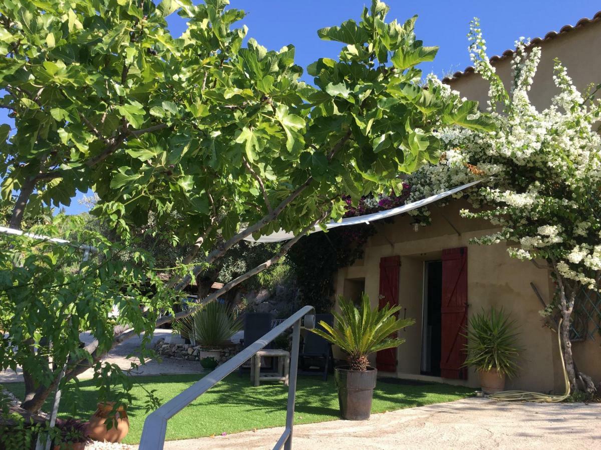 Les Terrasses Sur Mer Ollioules Exterior photo